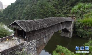 山东大学法学院的全国排名